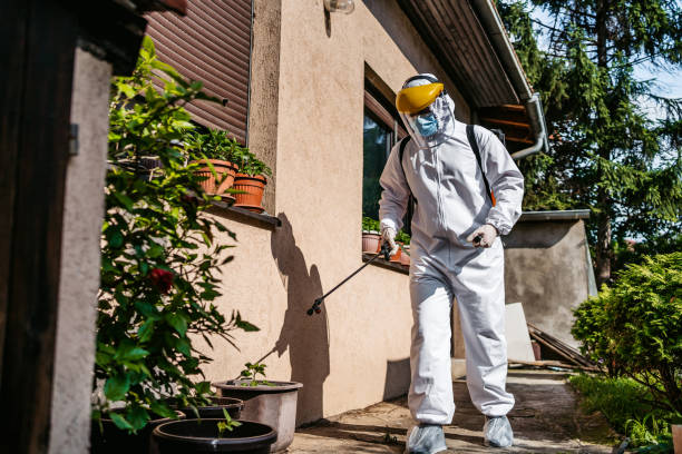 Best Pest Control Near Me  in Seacliff, CA
