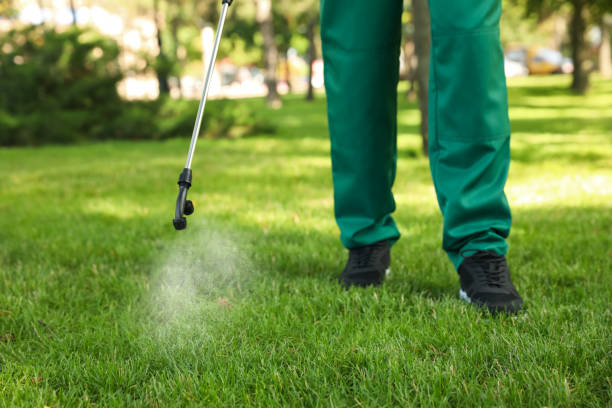 Best Bed Bug Extermination  in Seacliff, CA