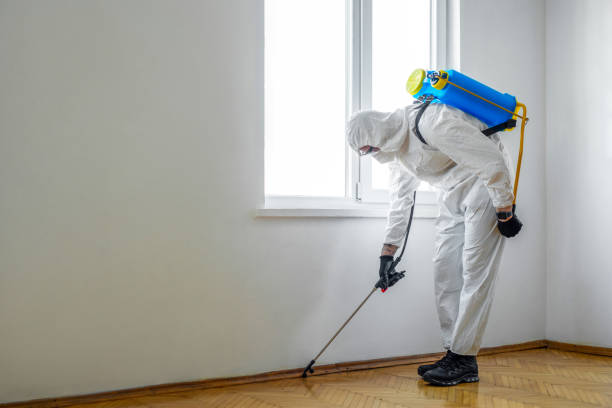 Best Cockroach Control Services  in Seacliff, CA