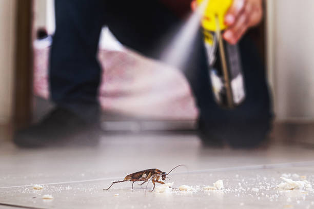 Seacliff, CA Pest Control Company