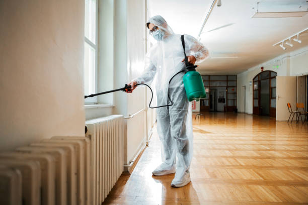 Best Termite Control Services  in Seacliff, CA